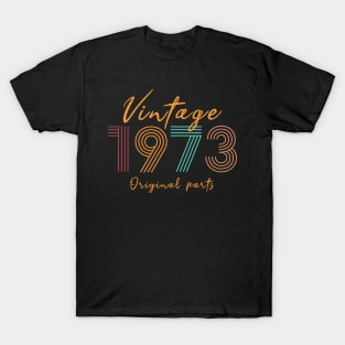 Vintage 1973 Birthday gift T-Shirt